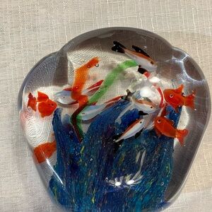 BUY NOW 👀🎄GREAT PAPER WEIGHT 5x5 . MANY  BRIGHT FISH BIG AND BEAUTIFUL